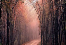 班凯罗生涯54次砍下20+5+5，23岁前排行榜位列历史第三.