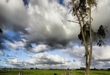 [中超]法比奥头球击中横梁 皮球反弹进入网窝.