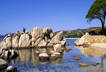 中超：无缘首胜 青岛海牛队0-1深圳新鹏程队.